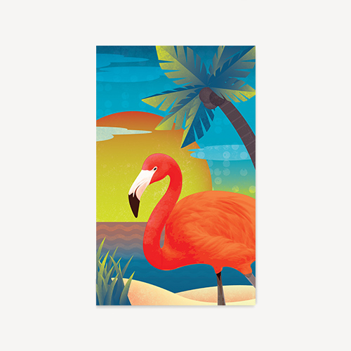 Flamingo